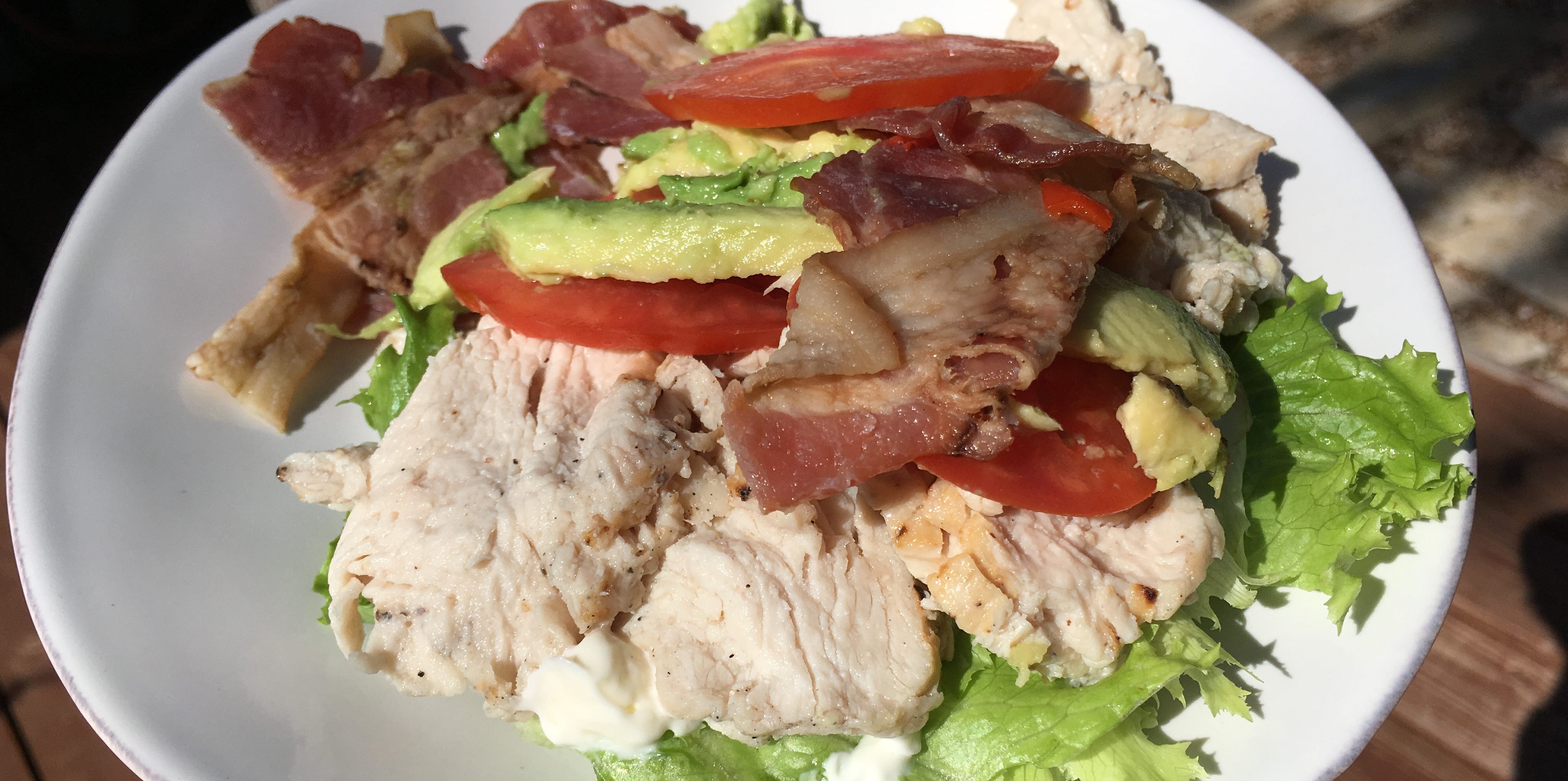 Low Carb Panera Roasted Turkey and Avocado BLT Plated Mr. SkinnyPants