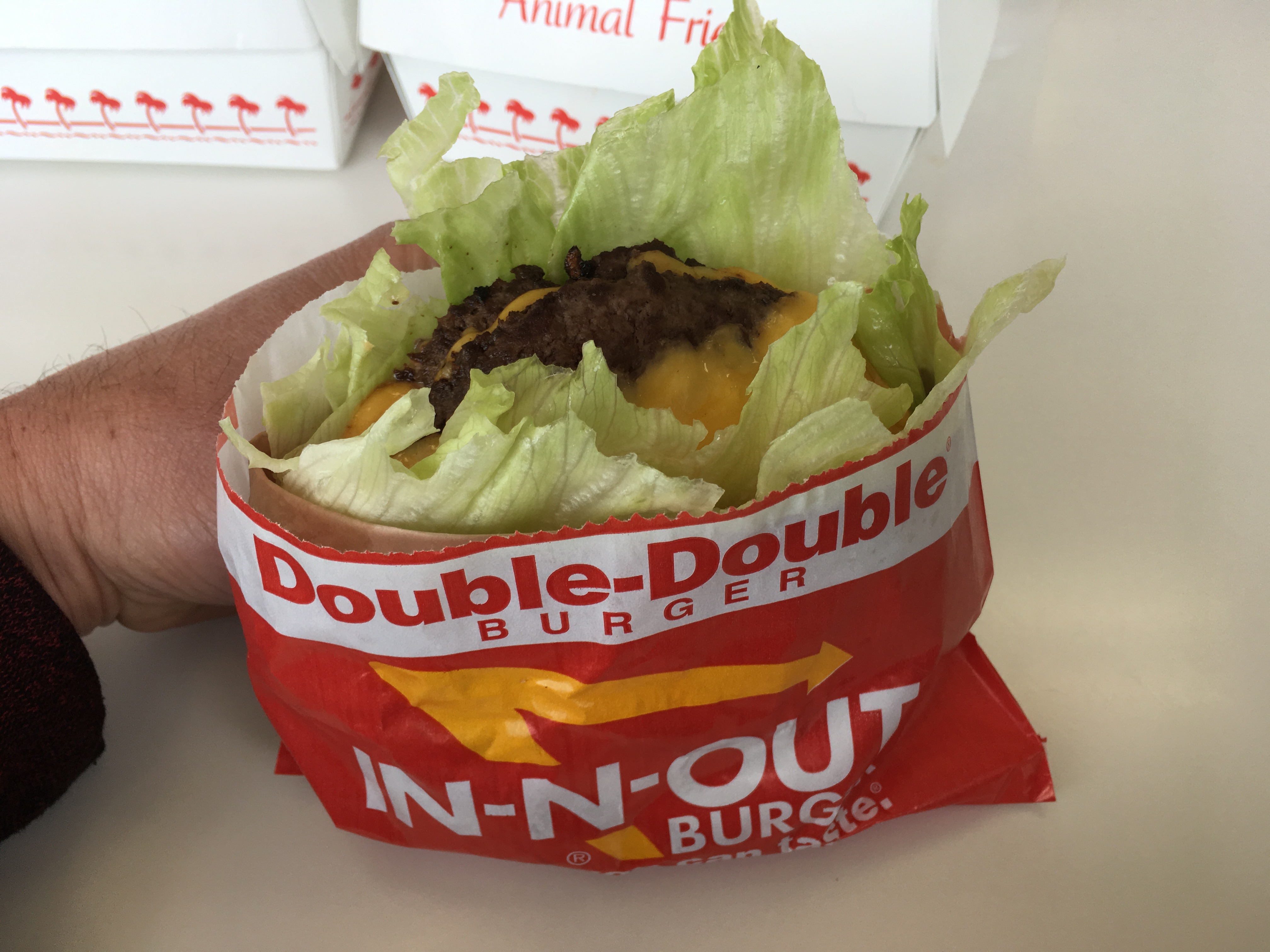 Low Carb In-N-Out Double Double Protein Style Burger