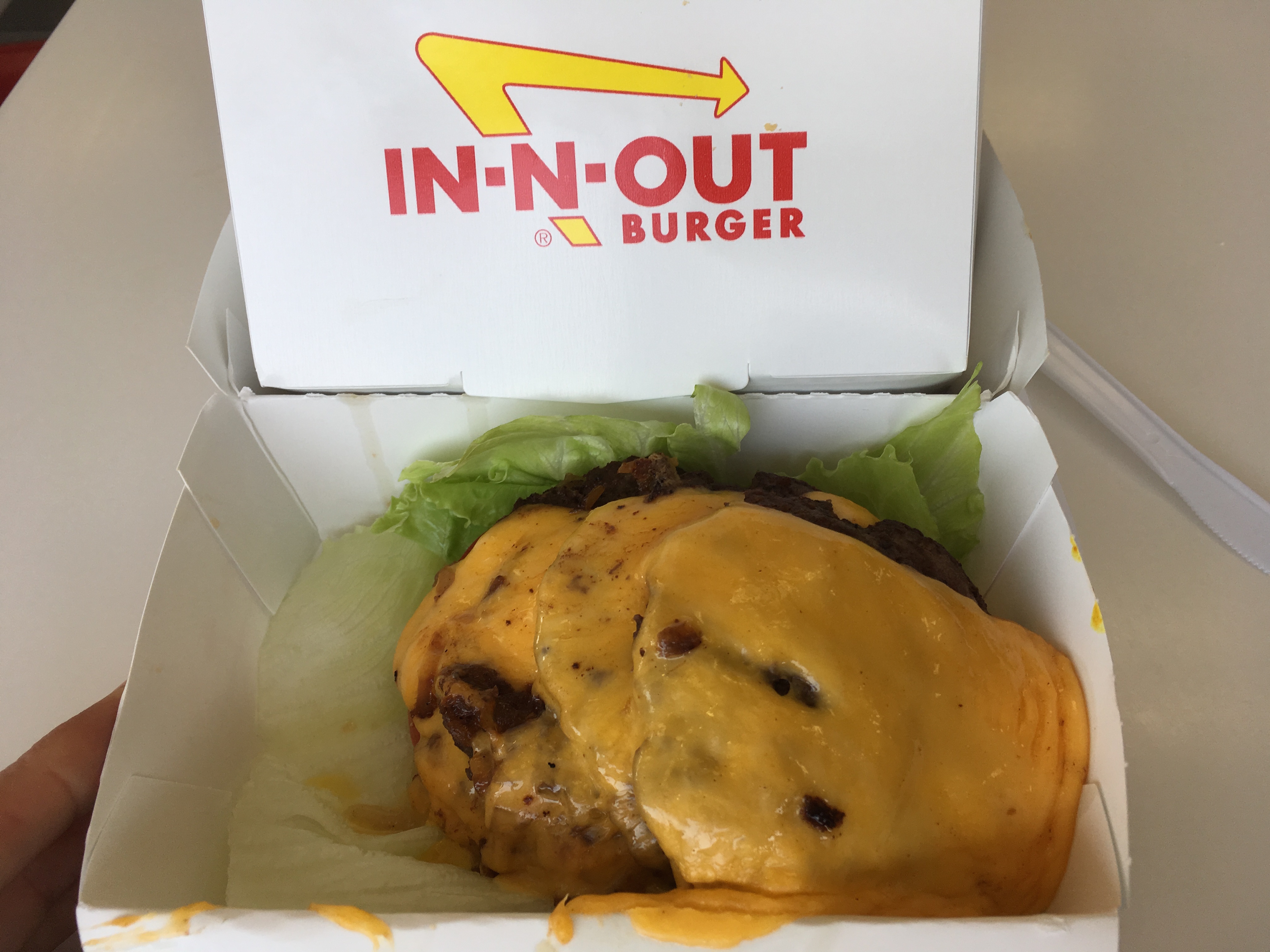 In-N-Out Burger PDF Free Download